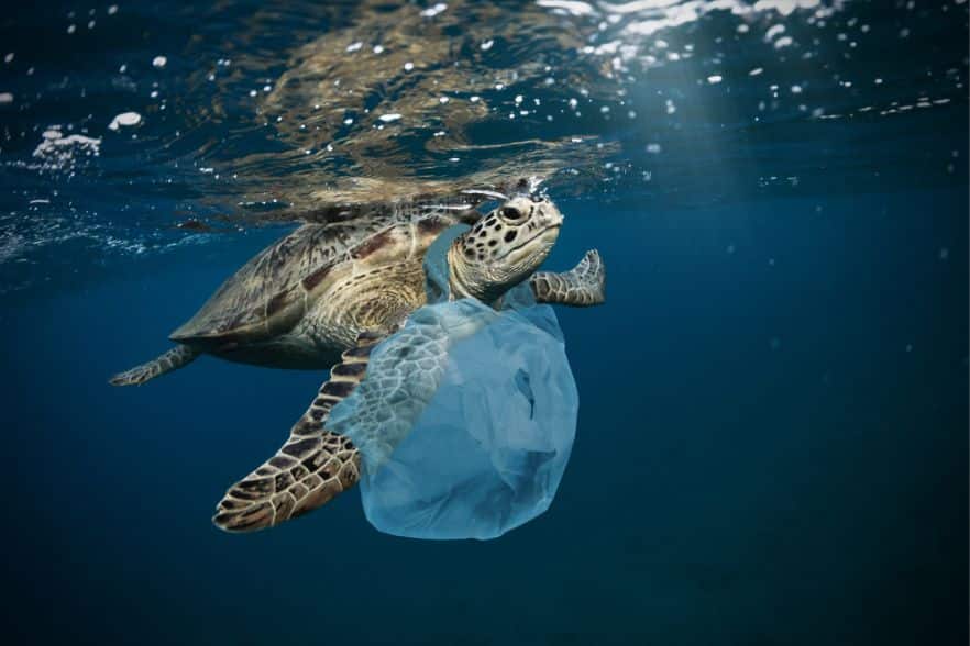 Plastik im Meer – „Ocean Cleanup“ räumt auf