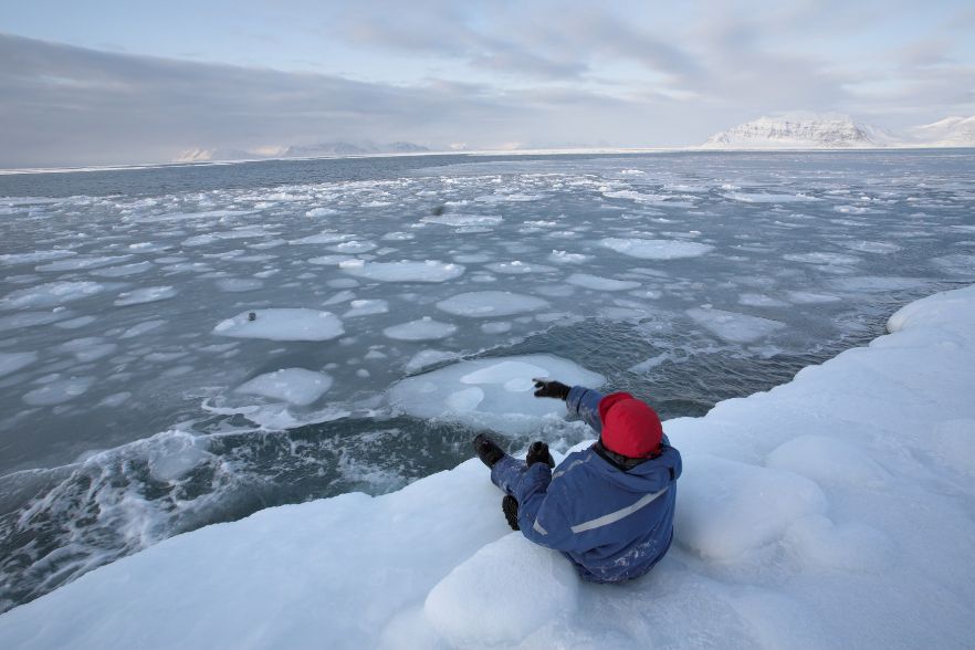 Die Arktis wurde gerettet – aus Versehen