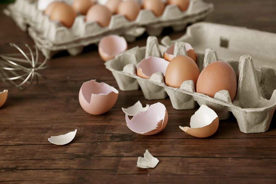 Verpackung aus Eierschalen – eine essbare Idee